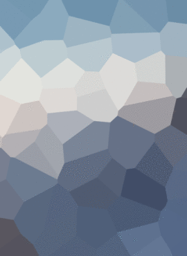 Manuel Valenzuela (Presidente)